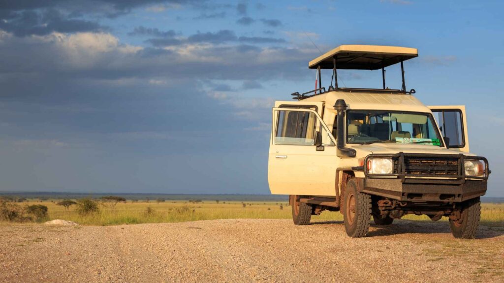 5 Day Tanzania Safari Tour Price: What It Costs, What's Included and How to Book 1 5 Day Tanzania Safari Tour Price