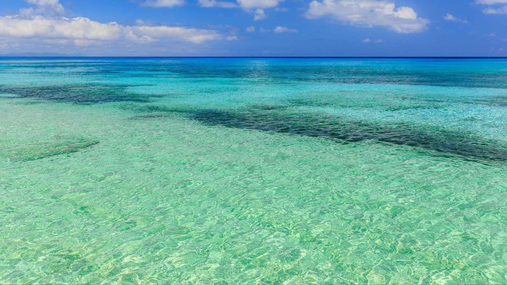 Apia