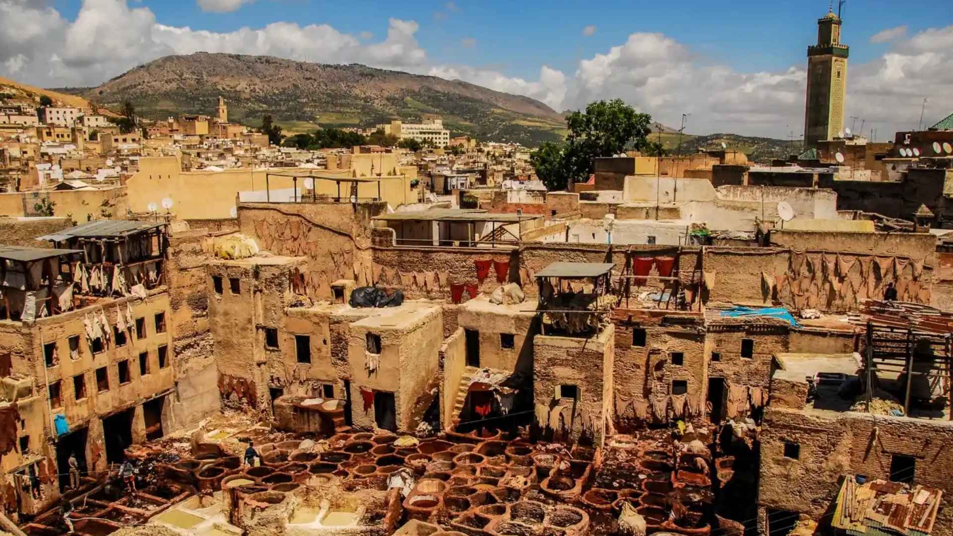Fez