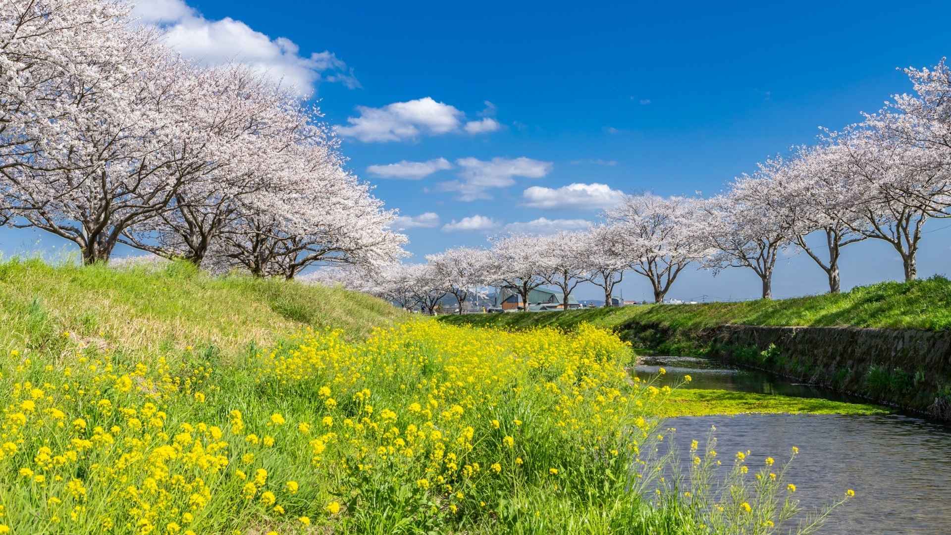 Fukuoka