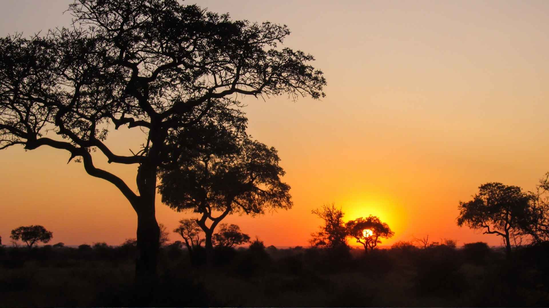 Kruger National Park