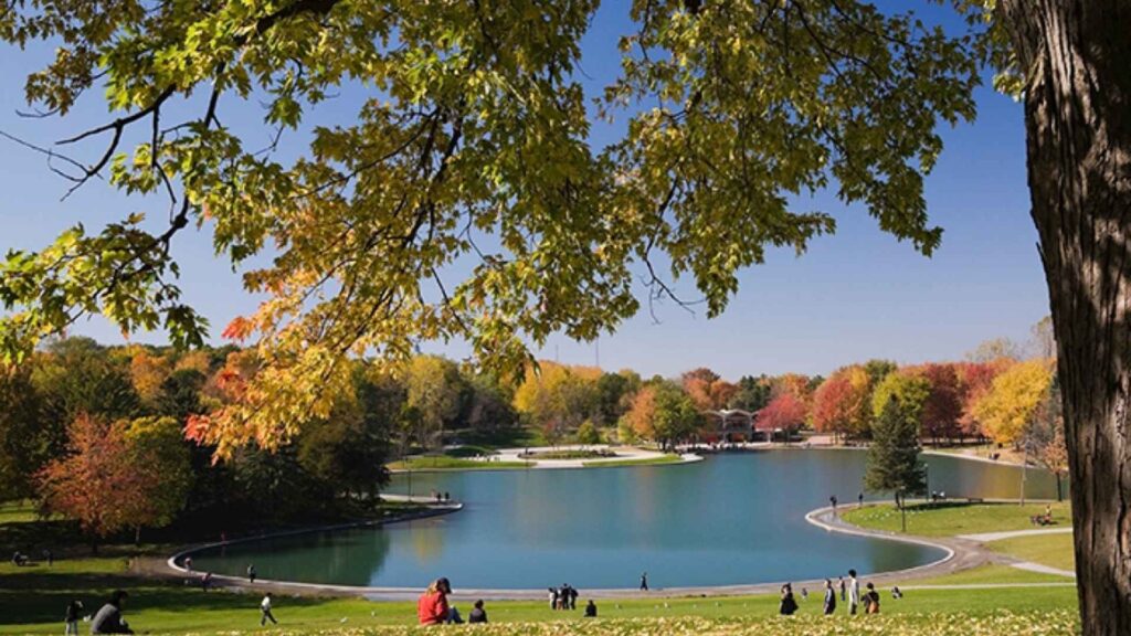 Mount Royal Park Autumn