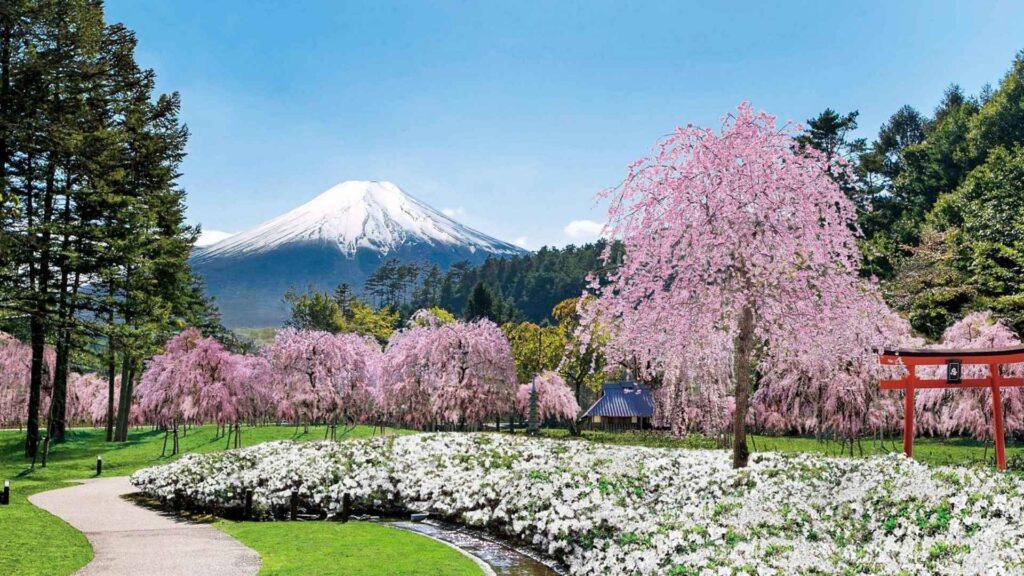 Book Your Mt Fuji Day Trip