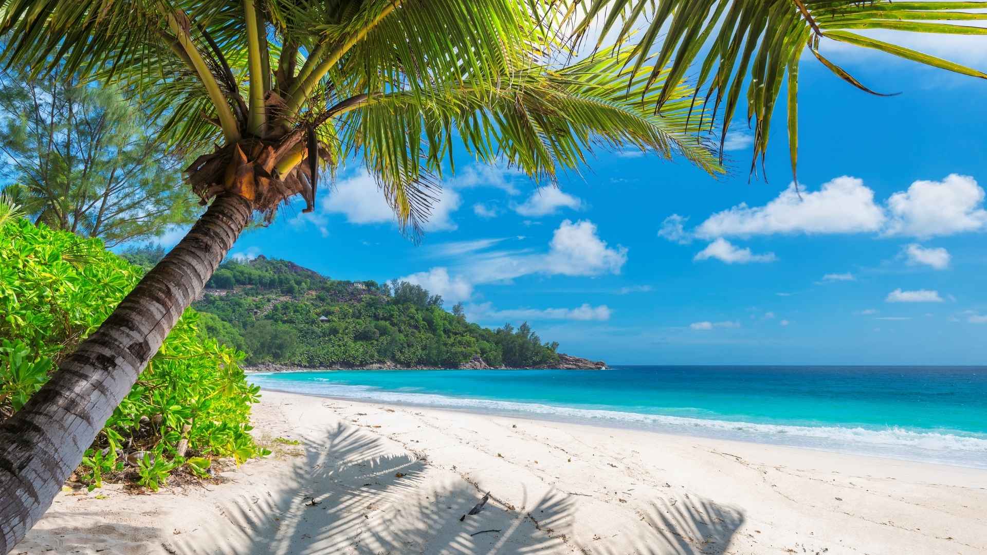 Palm Beach