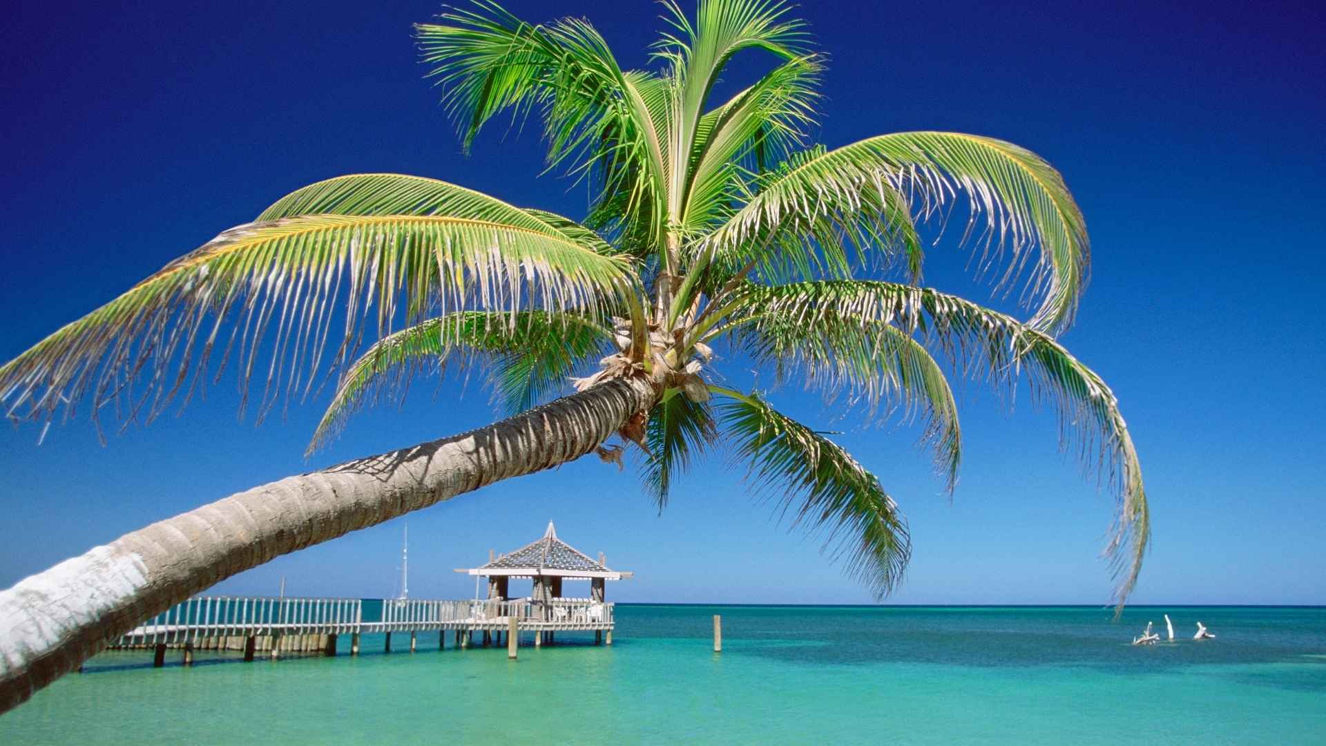 Roatan