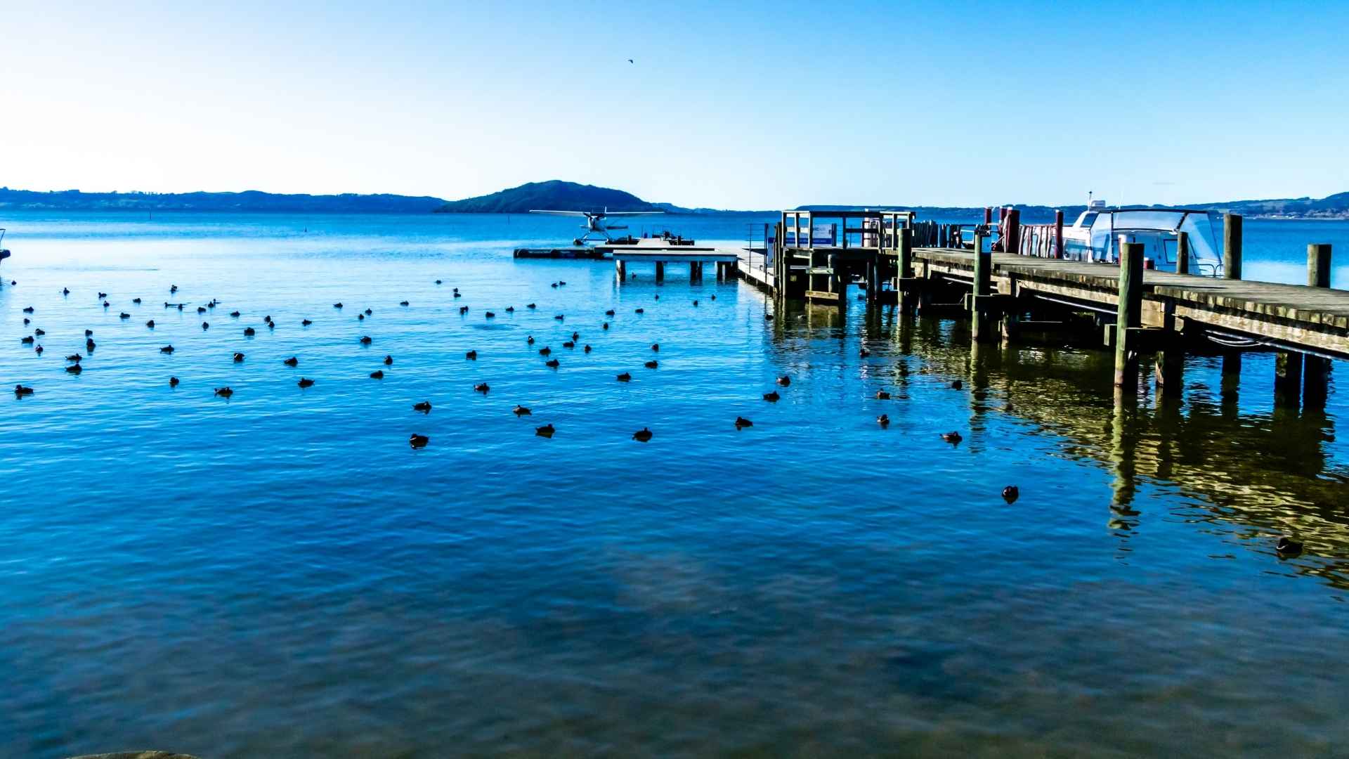 Rotorua