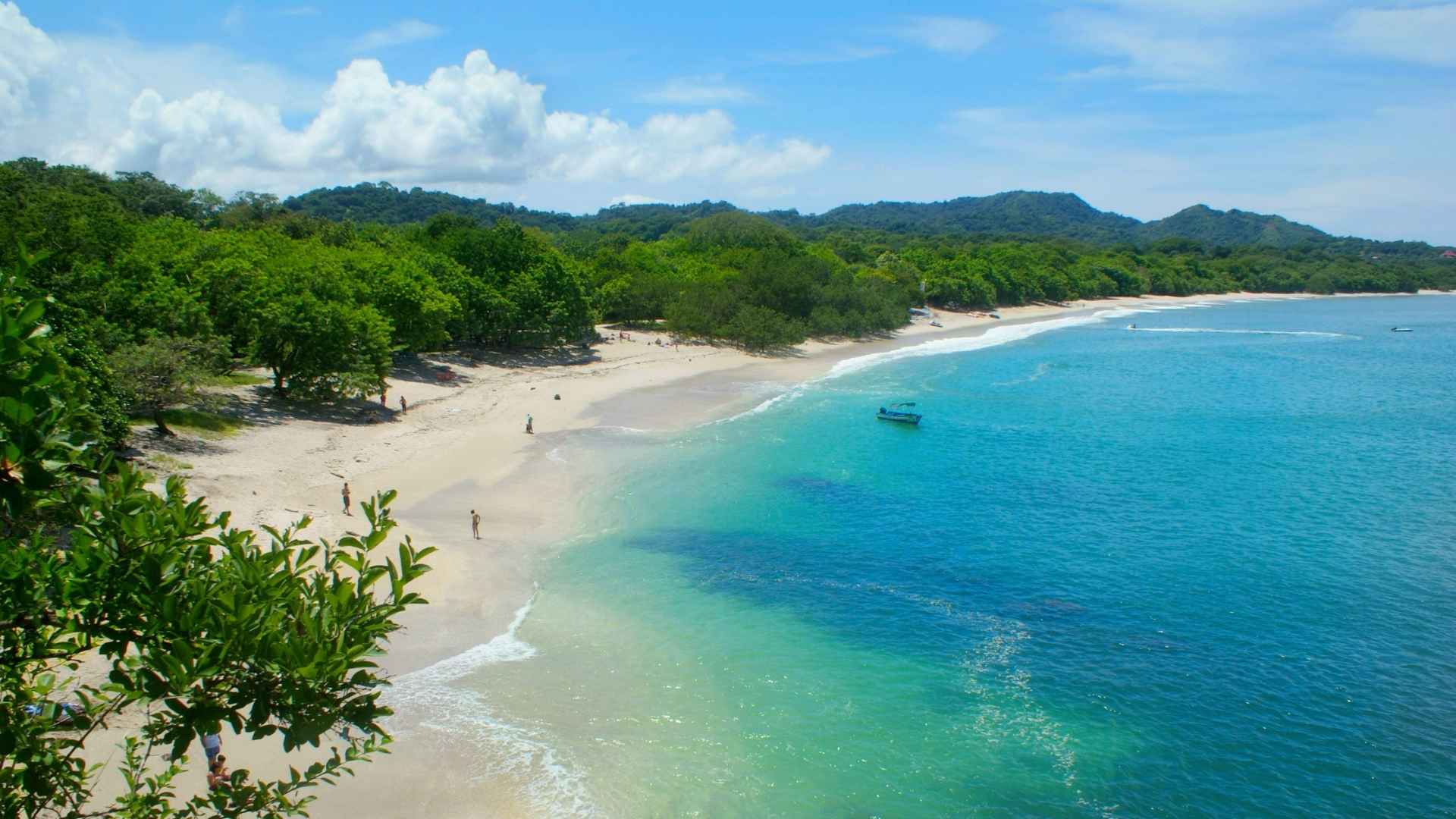 Tamarindo