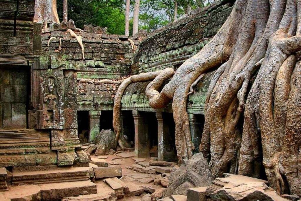 Ta Prohm  The "jungle temple" 