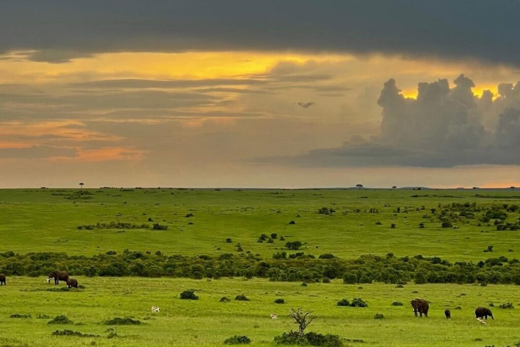 Masai Mara Safari Full Itinerary