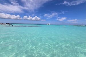Saona Island Tour from Punta Cana