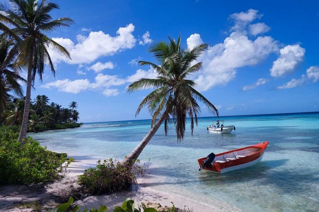 Saona Island Day Trip