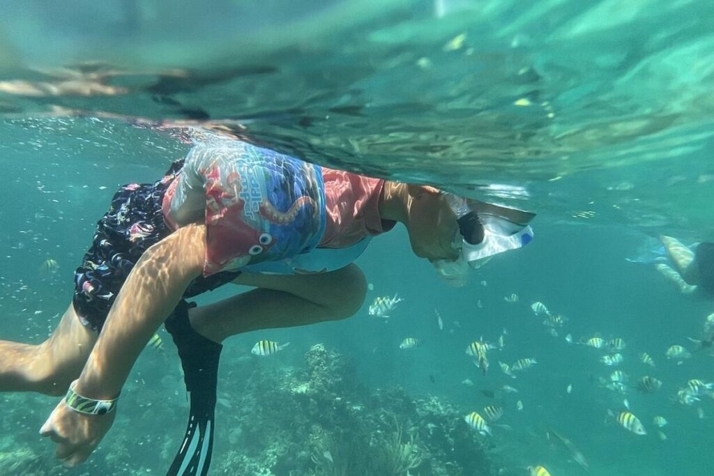 Snorkeling Adventure & Premium Seafood Lunch