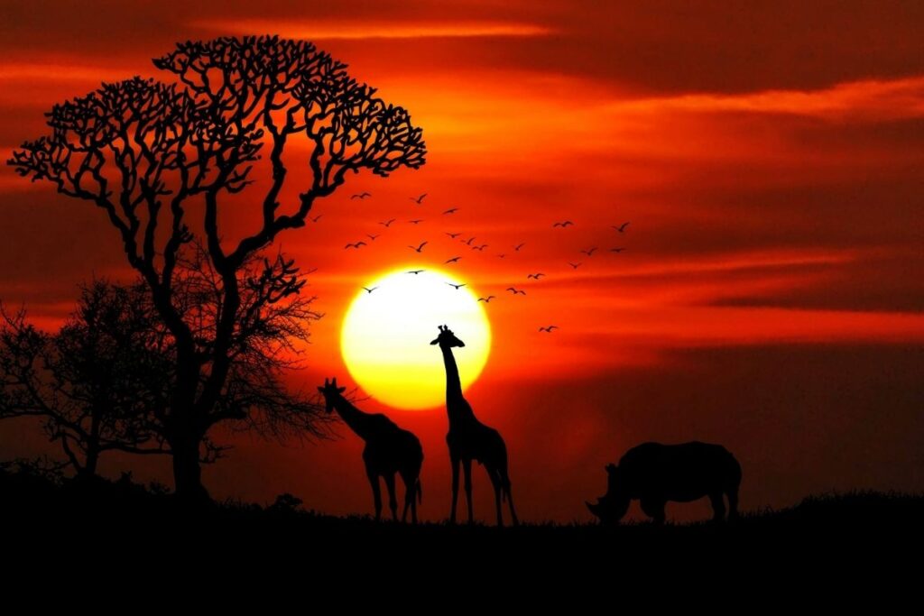 best safari destinations in the world