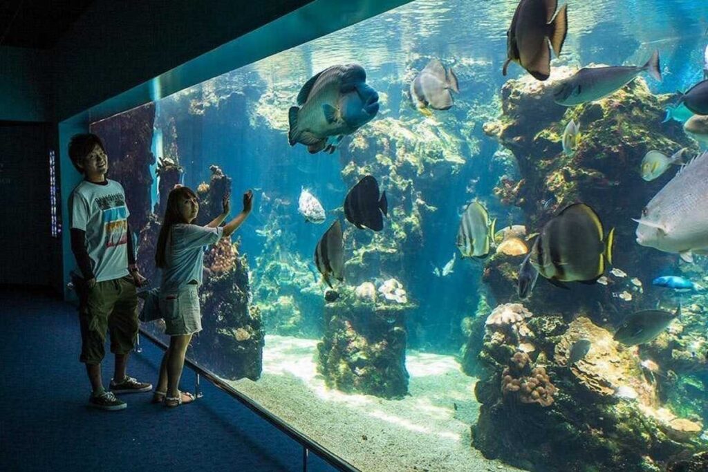 Aquarium des Lagons