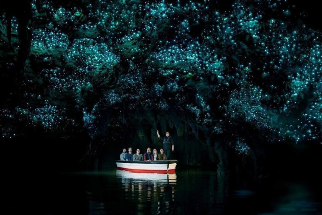 best places to see in new zealand waitomo caves