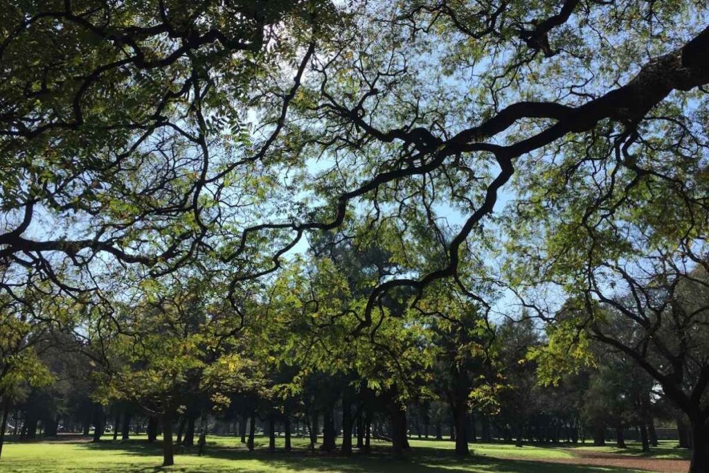 How Many Days Do You Need in Buenos Aires? 4 bosques de palermo buenos aires 4 days