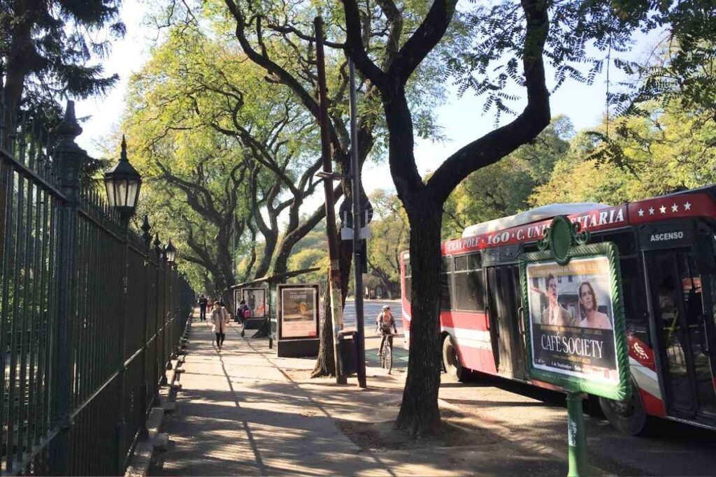 Colectivos: The Buses That Go Everywhere