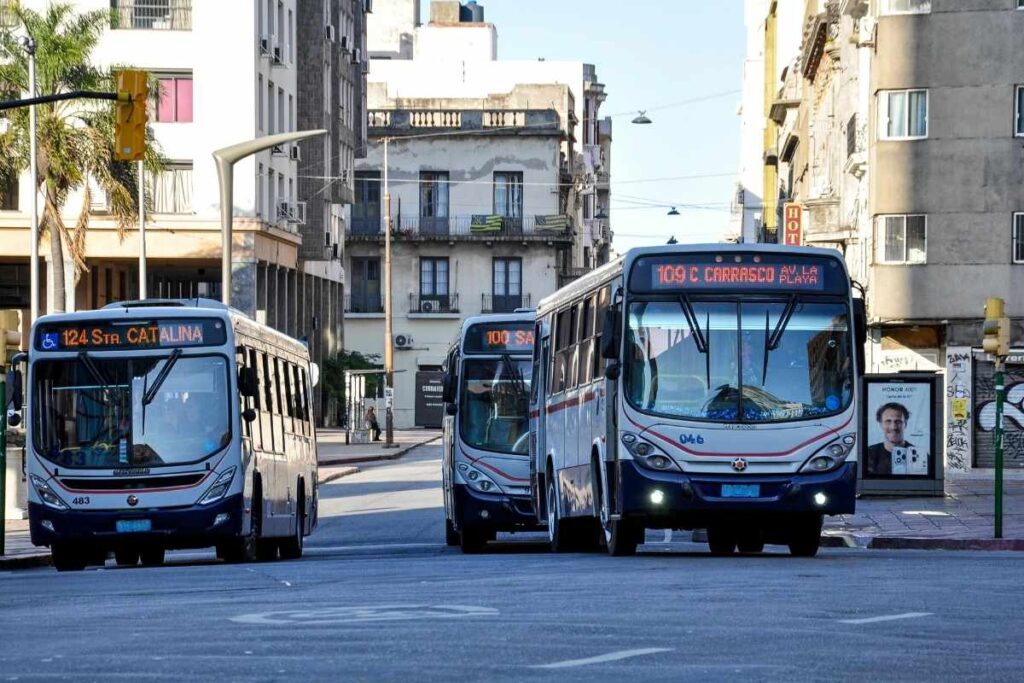 getting around montevideo: Buses and the STM Card