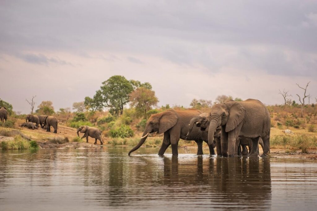 Kruger National Park
