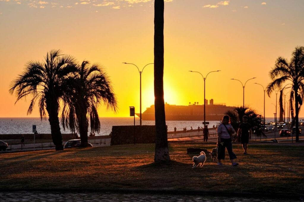 Who Montevideo Is Perfect For