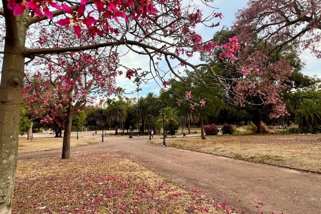Montevideo in One Day: A Walking Itinerary From the Port to the Rambla 10 Parque Rodó, Montevideo
