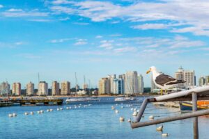 punta del este from montevideo