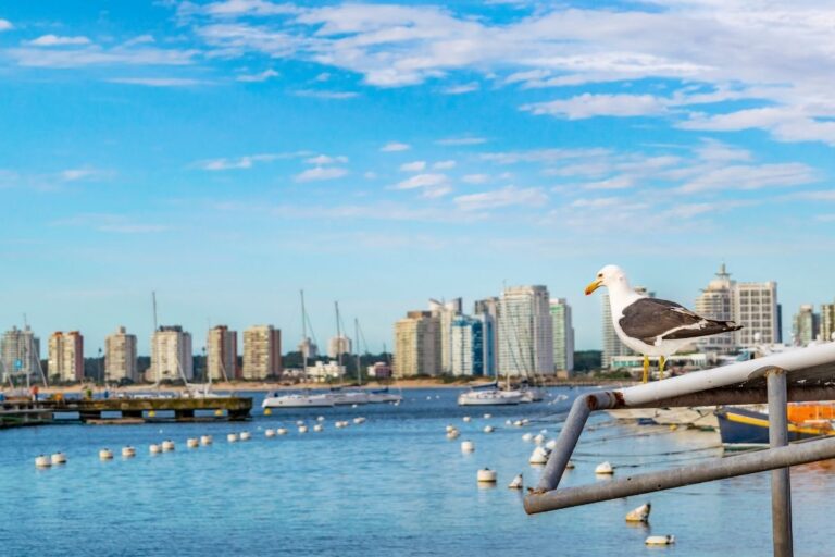 punta del este from montevideo
